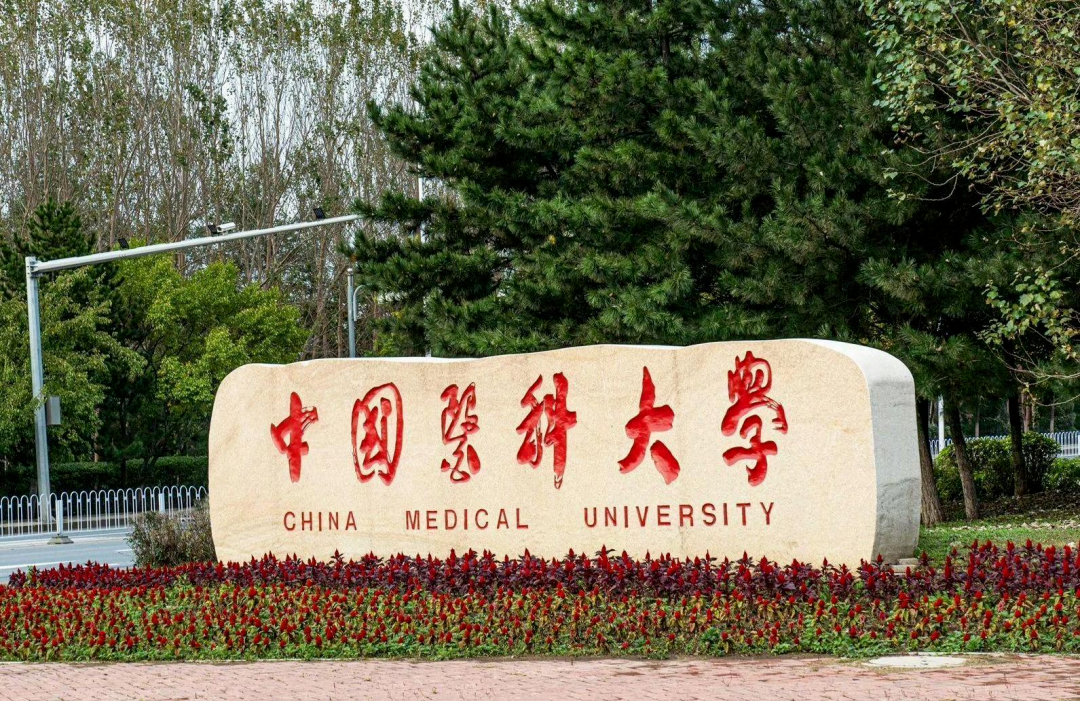 仅三年，这个中国团队第3次发文Lancet正刊